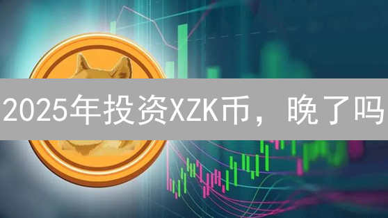2025年投资XZK币，晚了吗？三大场景分析XZK币投资价值！