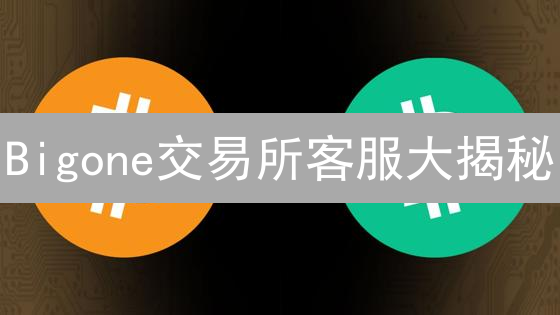 Bigone交易所客服大揭秘：高效咨询，交易无忧？用户体验全方位评测！