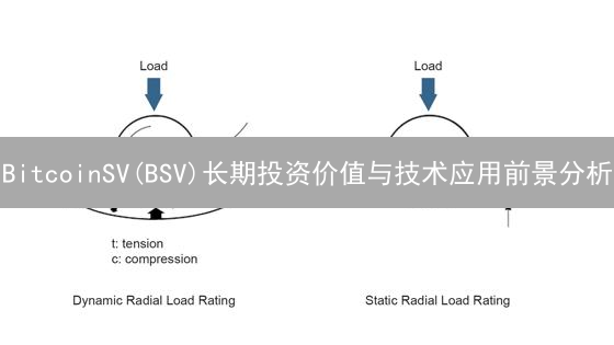 BitcoinSV(BSV)长期投资价值与技术应用前景分析