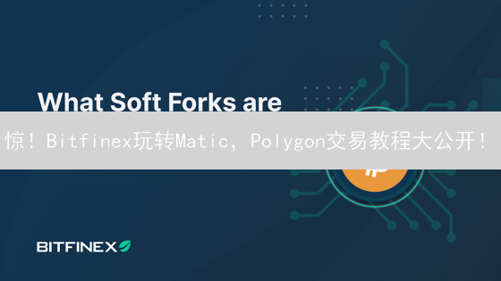 惊！Bitfinex玩转Matic，Polygon交易教程大公开！