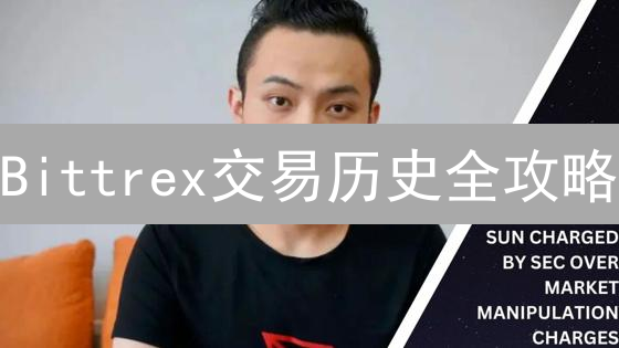 Bittrex交易历史全攻略：如何轻松查账并导出数据？
