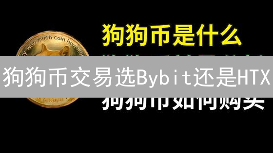 狗狗币交易选Bybit还是HTX？新手老手看这里！