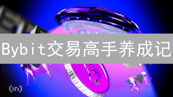 Bybit交易高手养成记：从入门到精通的盈利秘籍！