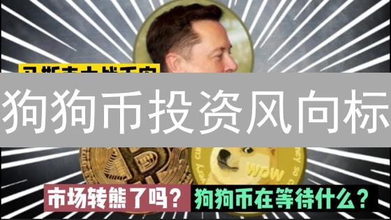 狗狗币投资风向标：币安购买DOGE全攻略，新手也能轻松上手？