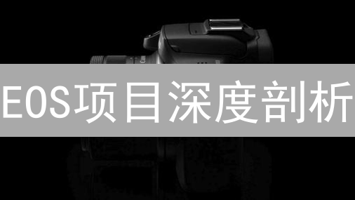 EOS项目深度剖析：技术争议、社区治理与未来展望