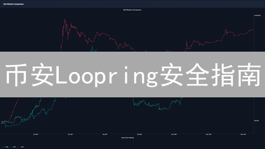 币安Loopring安全指南：如何保障你的数字资产？