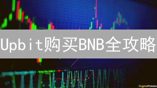 Upbit购买BNB全攻略：告别复杂，新手也能轻松上手！