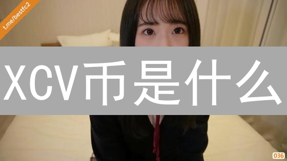 XCV币是什么？一文读懂其技术、目标与价值！
