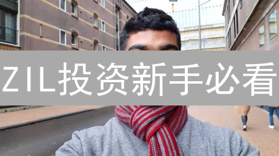 ZIL投资新手必看：快速购买指南，抓住Zilliqa未来！